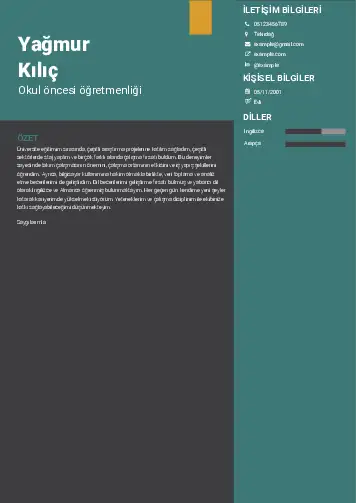 Okul Öncesi Öğretmeni Öğretmenliği Cv Örnekleri cv indir